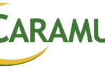 logo-p